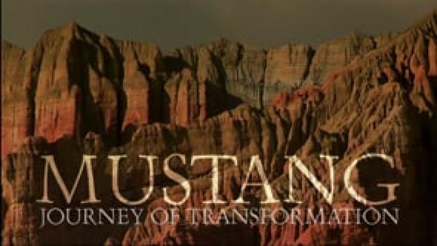 Preview image for the video "Mustang - Journey of Transformation".